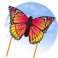 Drak Butterfly Kite Monarch "L"