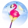 Drak Eddy Flamingo