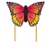 Drak Butterfly Kite Monarch "L"