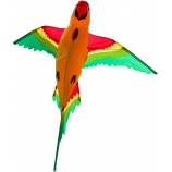 Drak Parrot 3D