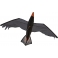 Drak Raven 3D
