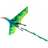 Drak Flying Dinosaur 3D